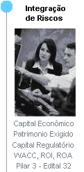 C�lculo do Patrim�nio de Refer�ncia Exigido, C�lculo de Capital Econ�mico, C�lculo de Indicadores (WACC, ROI, ROE) 